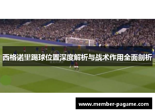 西格诺里踢球位置深度解析与战术作用全面剖析