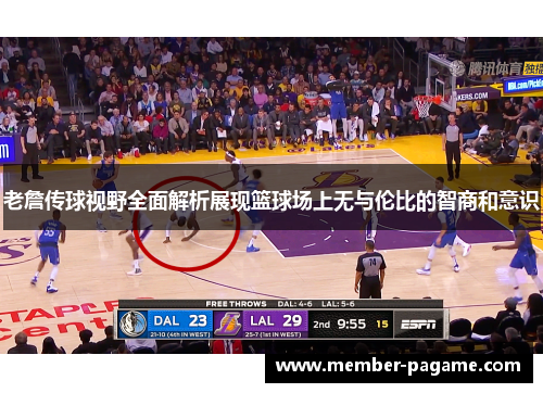 老詹传球视野全面解析展现篮球场上无与伦比的智商和意识